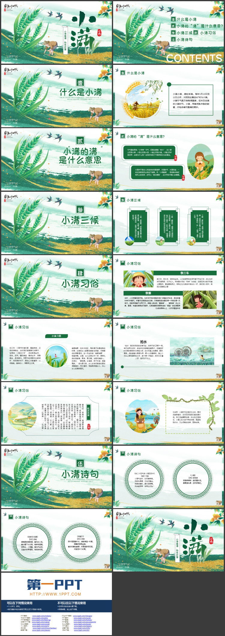 绿色清新插画风麦穗背景的传统节气小满节气介绍PPT模板
