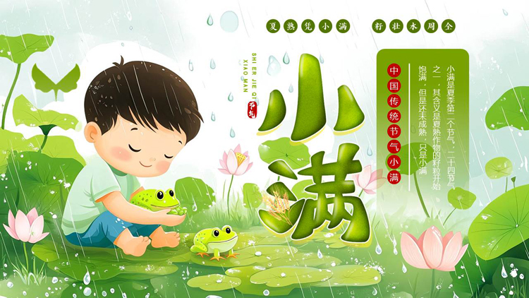绿色清新插画风荷花荷叶背景的小满传统节气介绍PPT模板