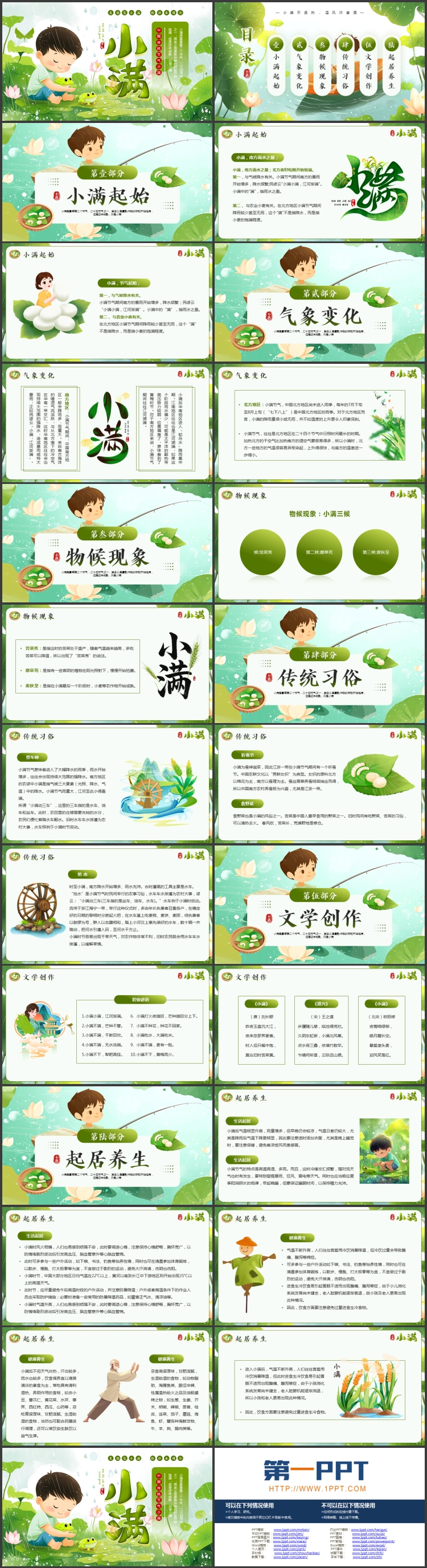 绿色清新插画风荷花荷叶背景的小满传统节气介绍PPT模板