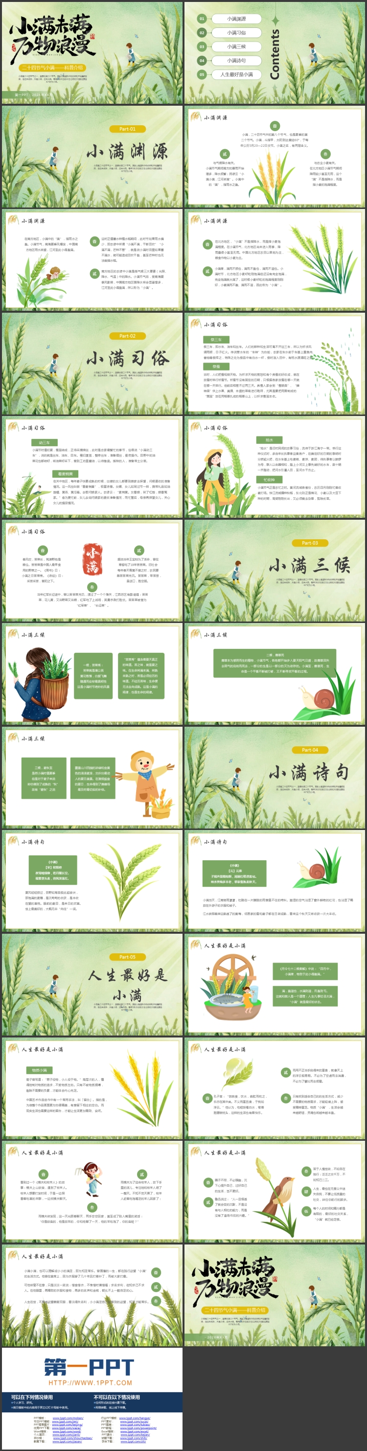 绿色插画麦穗背景的“小满未满万物浪漫”二十四节气小满科普介绍PPT模板