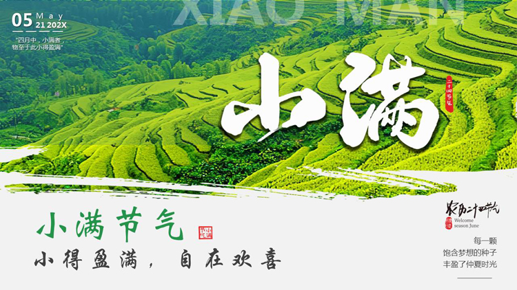 绿色清新梯田背景的二十四节气之小满节气介绍PPT模板
