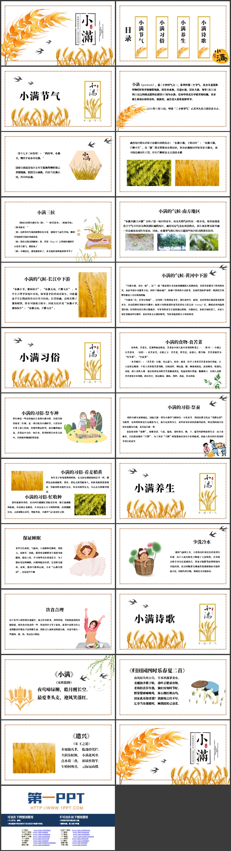 金色卡通麦穗背景的小满传统节气介绍PPT模板