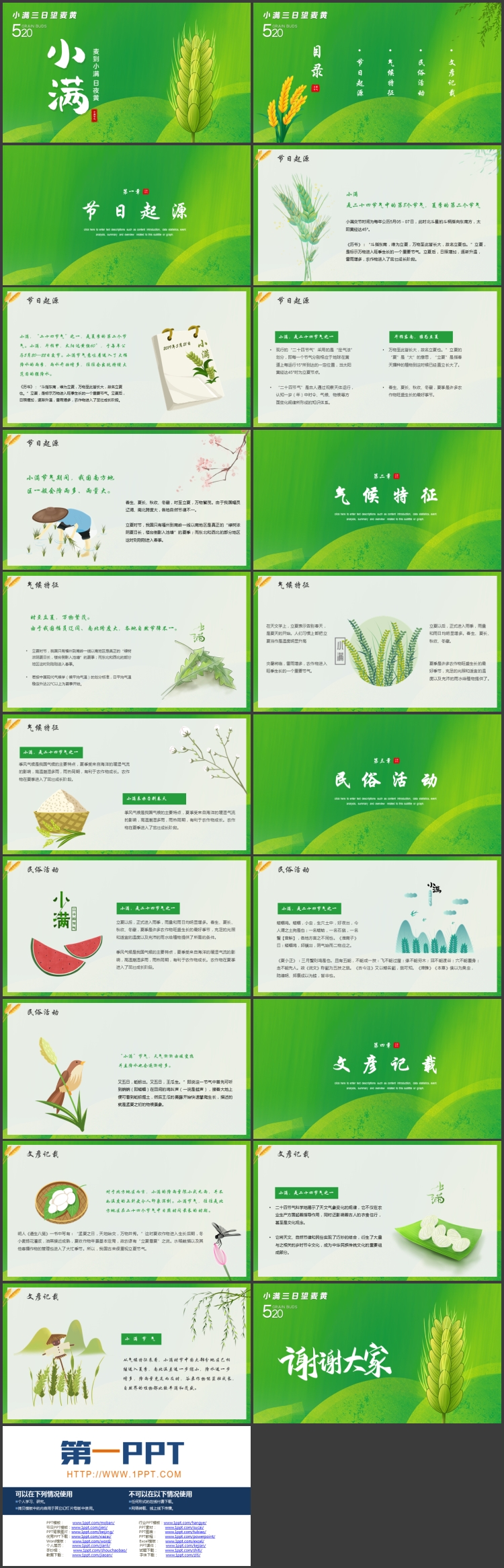 绿色卡通麦穗背景的小满节气介绍PPT模板
