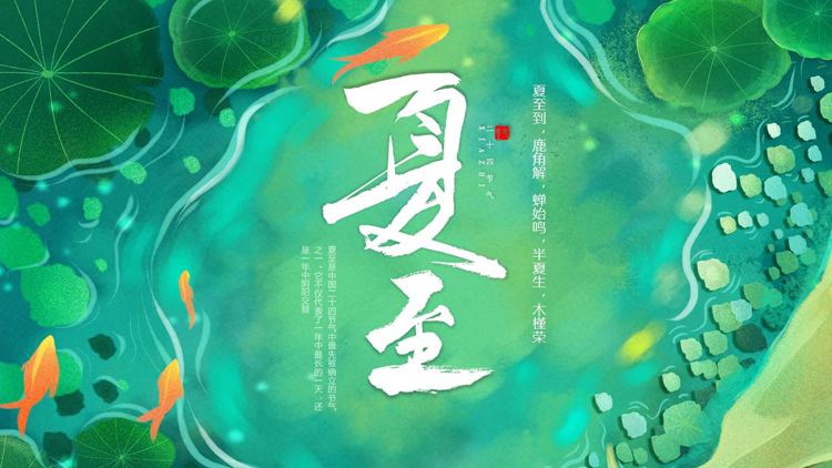 绿色插画风荷叶锦鲤背景的夏至节气介绍PPT模板