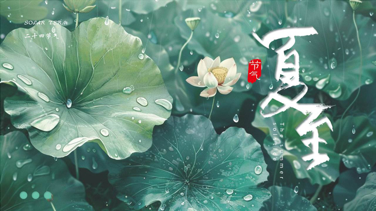 绿色精美插画风荷花荷叶背景的夏至节气介绍PPT模板