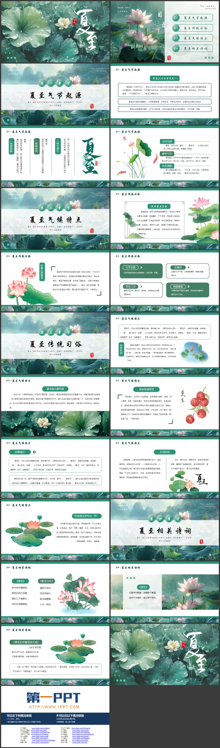 绿色精美插画风荷花荷叶背景的夏至节气介绍PPT模板