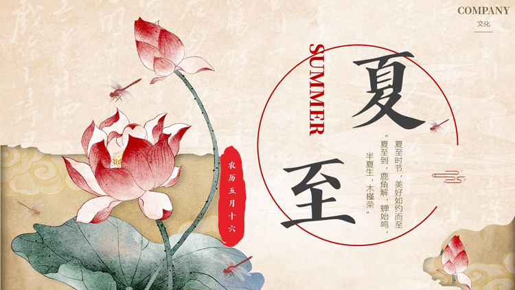 古典荷花荷叶背景的夏至节气介绍PPT模板