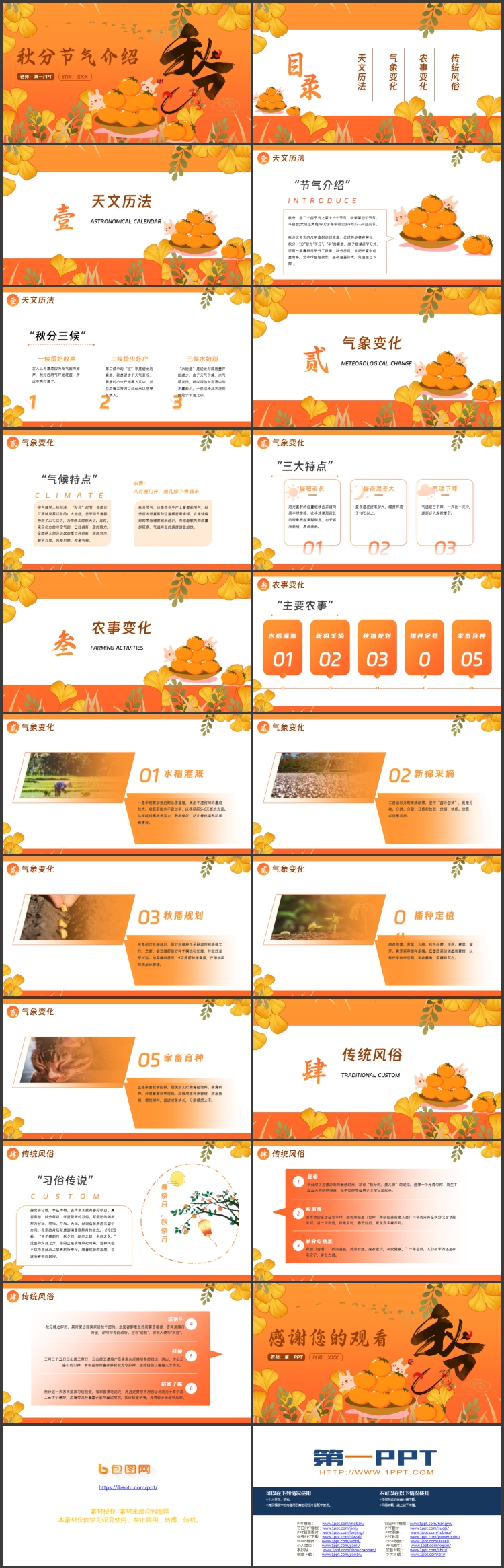 橙色卡通柿子银杏叶背景的秋分节气介绍PPT模板