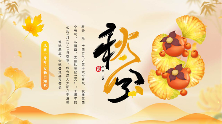 金色柿子银杏叶背景的秋分节气介绍PPT模板