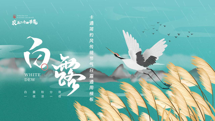 青色芦苇仙鹤背景的白露节气介绍PPT模板