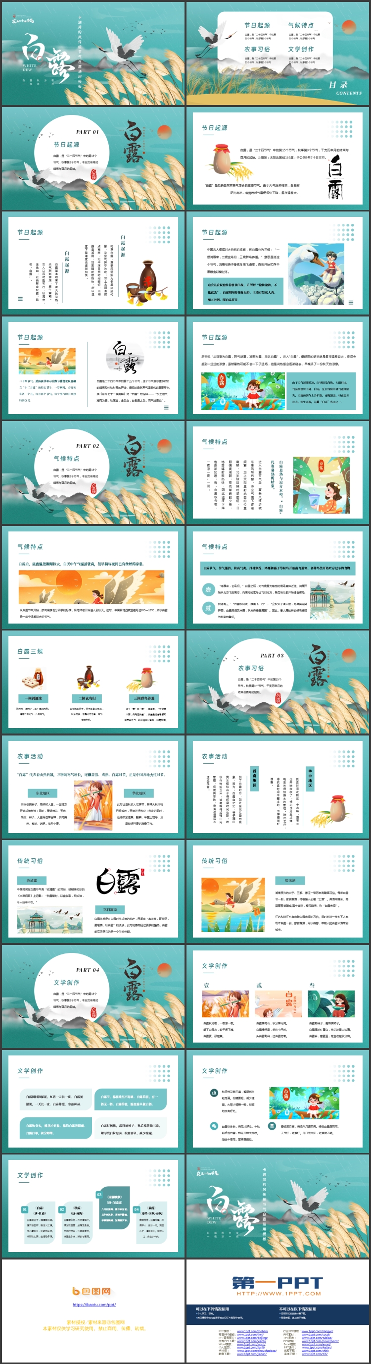 青色芦苇仙鹤背景的白露节气介绍PPT模板
