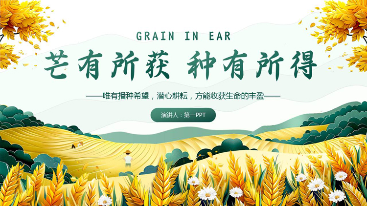 绿金配色麦穗农田背景的“芒有所获种有所得”芒种节气介绍PPT模板