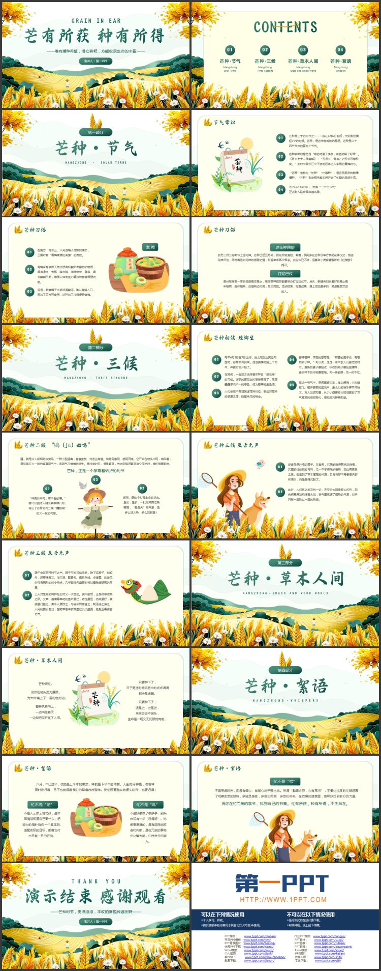 绿金配色麦穗农田背景的“芒有所获种有所得”芒种节气介绍PPT模板