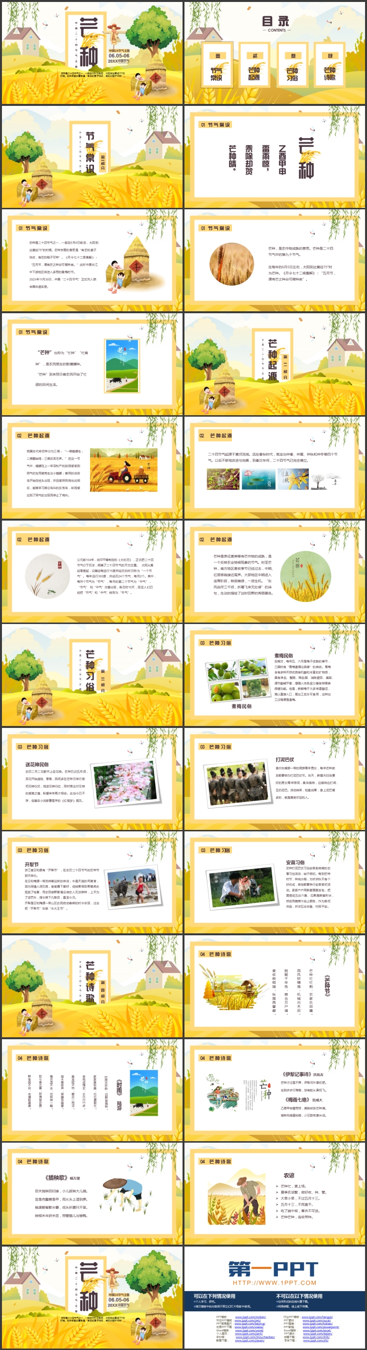 金色麦穗大树背景的中国二十四节气之芒种介绍PPT模板