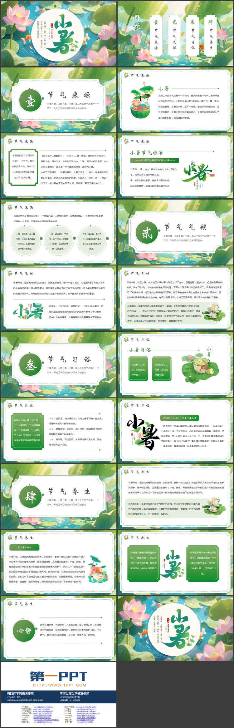 绿色清新插画荷花荷叶背景的小暑节气介绍PPT模板