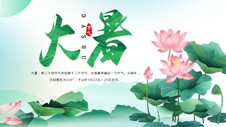 绿色清新荷花荷叶背景的大暑节气介绍PPT模板