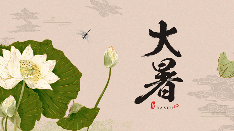 古典中国风荷花荷叶背景的大暑节气介绍PPT模板
