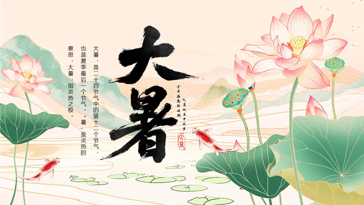 国潮荷花荷叶背景的大暑节气介绍PPT模板