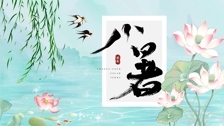 清新中国风荷花荷叶背景的小暑节气介绍PPT模板