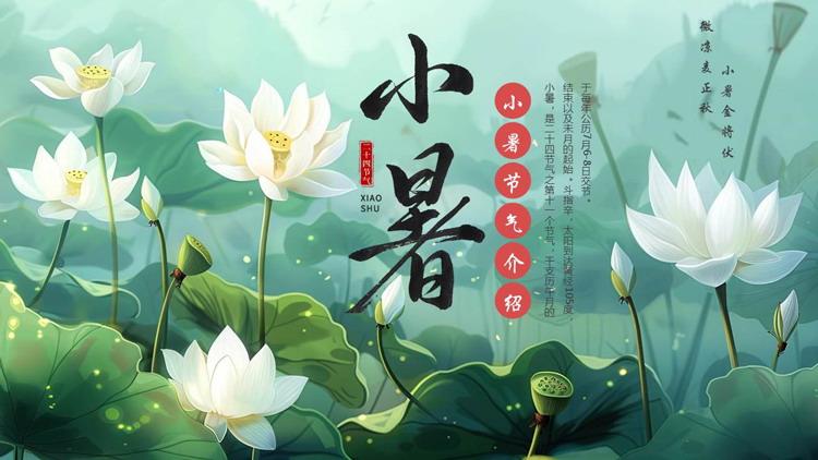 绿色清新插画风荷花荷叶背景的小暑节气介绍PPT模板