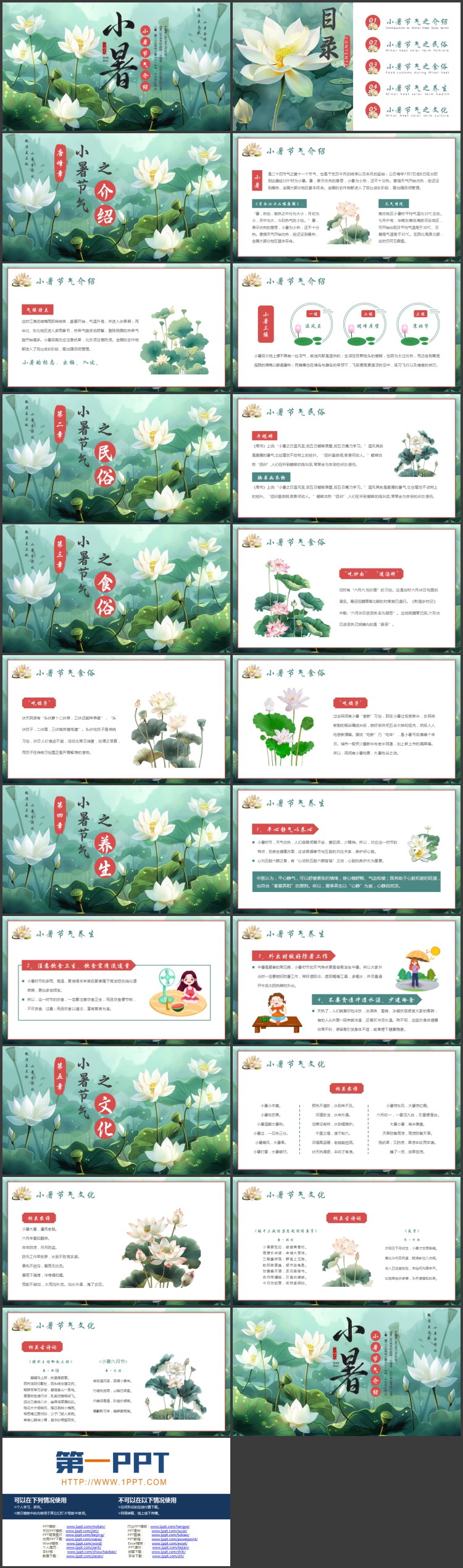 绿色清新插画风荷花荷叶背景的小暑节气介绍PPT模板