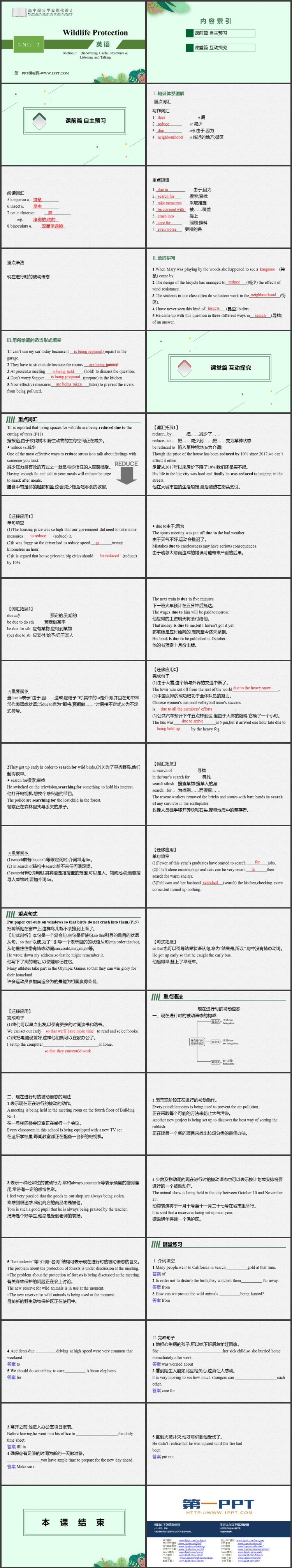 《Wildlife Protection》SectionC PPT教学课件