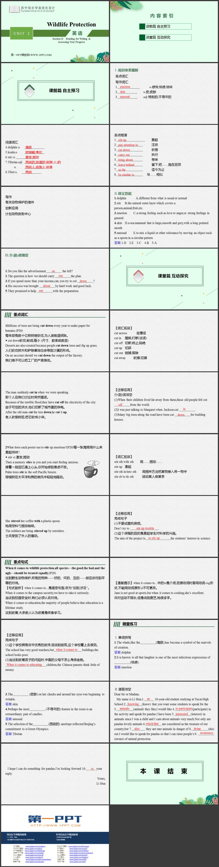 《Wildlife Protection》SectionD PPT教学课件