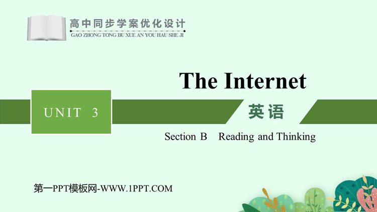 《The Internet》SectionB PPT教学课件