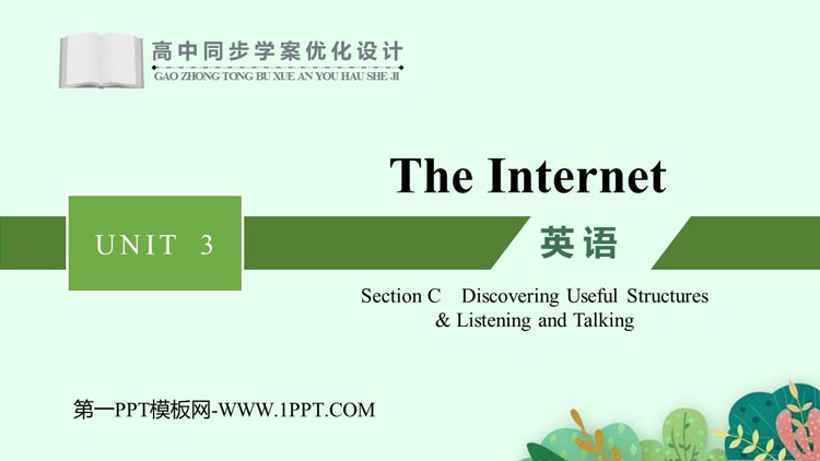 《The Internet》SectionC PPT教学课件