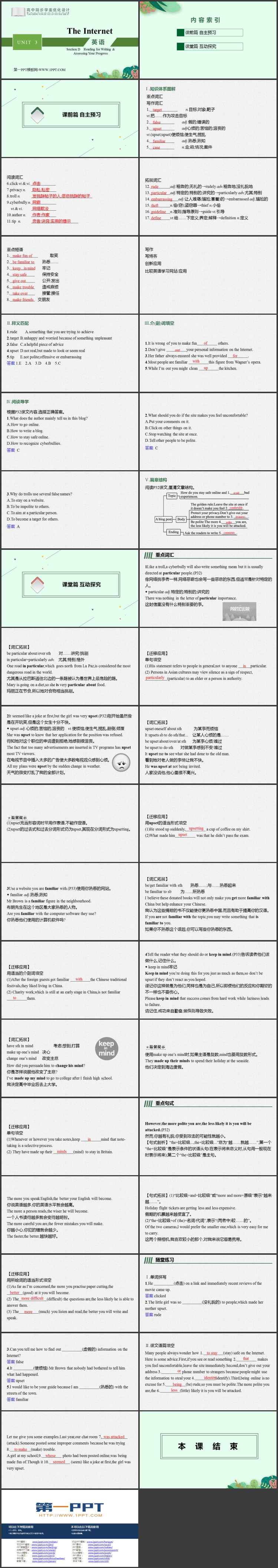 《The Internet》SectionD PPT教学课件