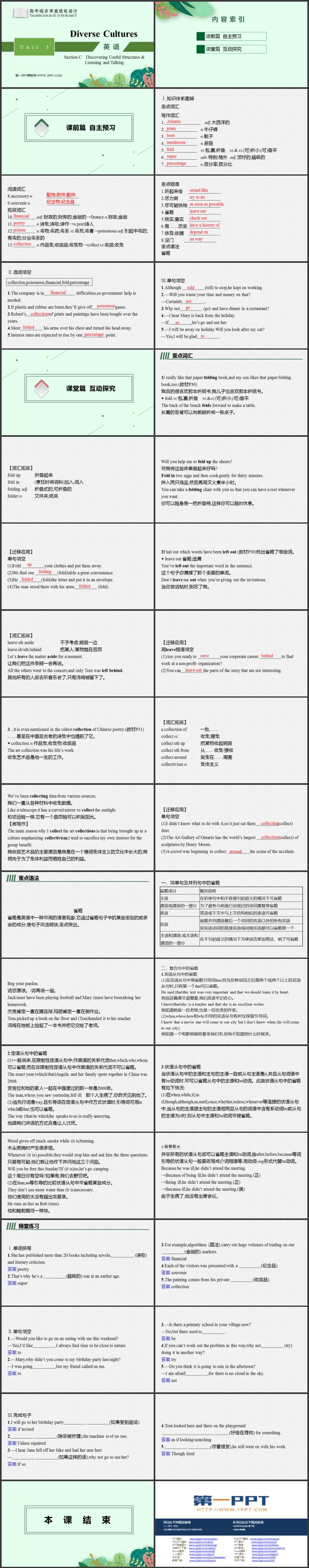 《Diverse Cultures》SectionC PPT课件