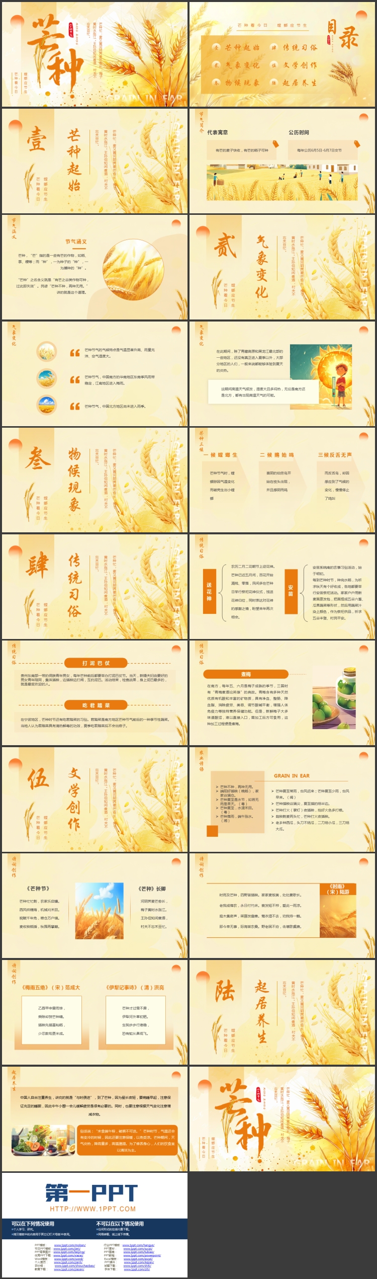 金色插画风麦穗背景的传统二十四节气之芒种节气介绍PPT模板
