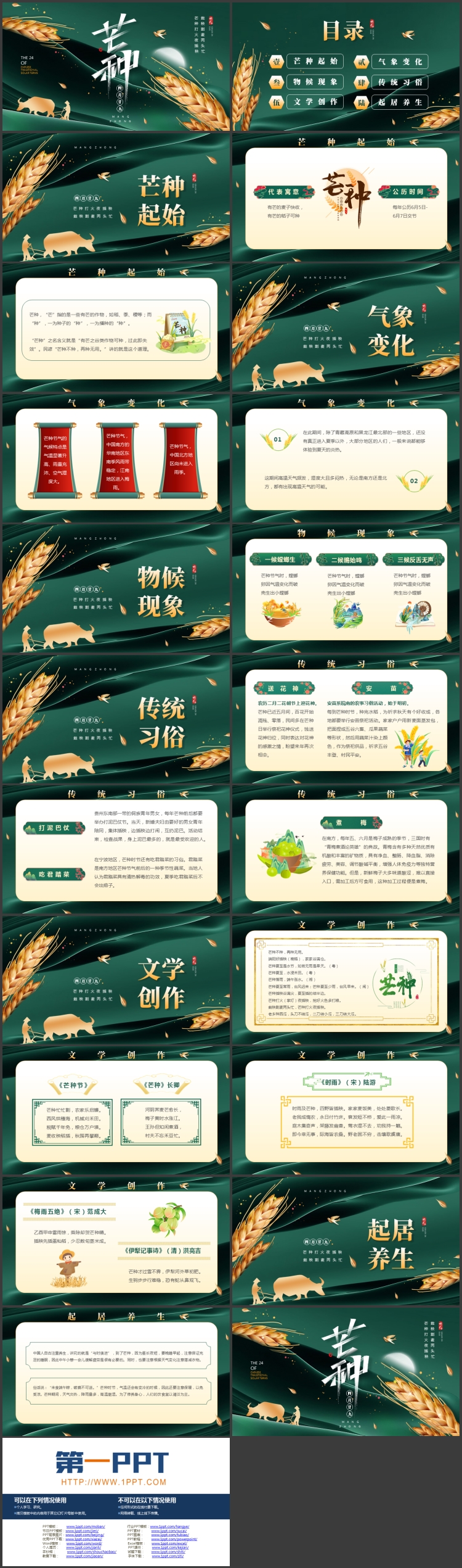绿金麦穗人物剪影背景的芒种节气介绍PPT模板