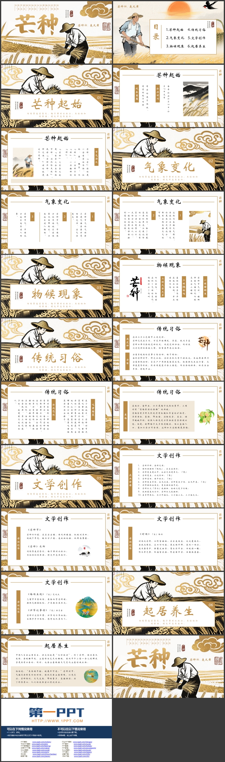 金色麦穗麦田背景的芒种节气介绍PPT模板