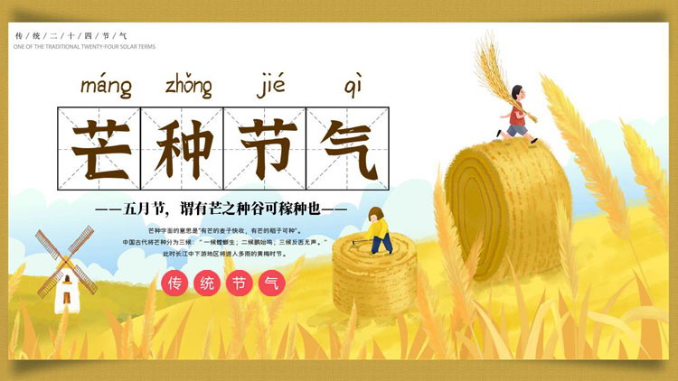 金色插画风麦田背景的芒种节气介绍PPT模板