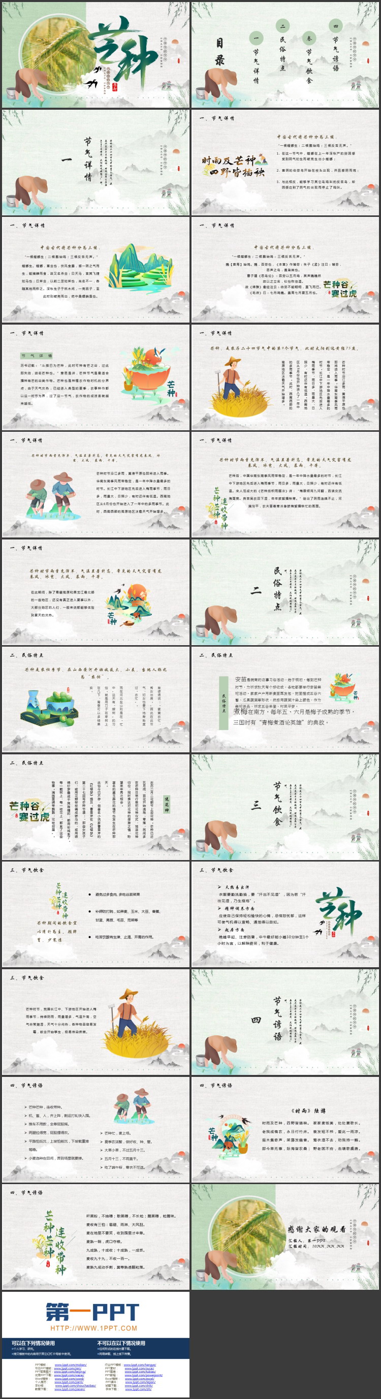 绿色麦穗背景的中国风传统节气芒种介绍PPT模板