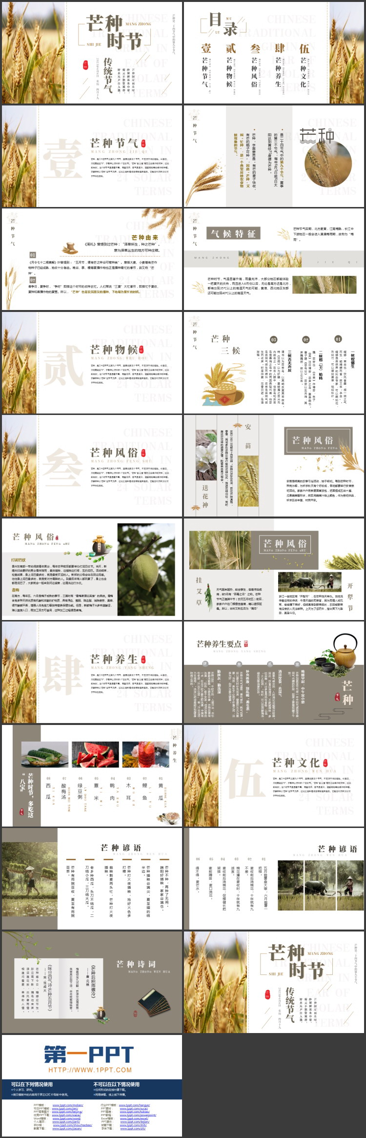 麦穗麦田背景的芒种时节传统节气介绍PPT模板