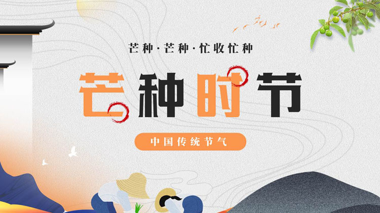 中国传统节气之芒种时节节气介绍PPT模板