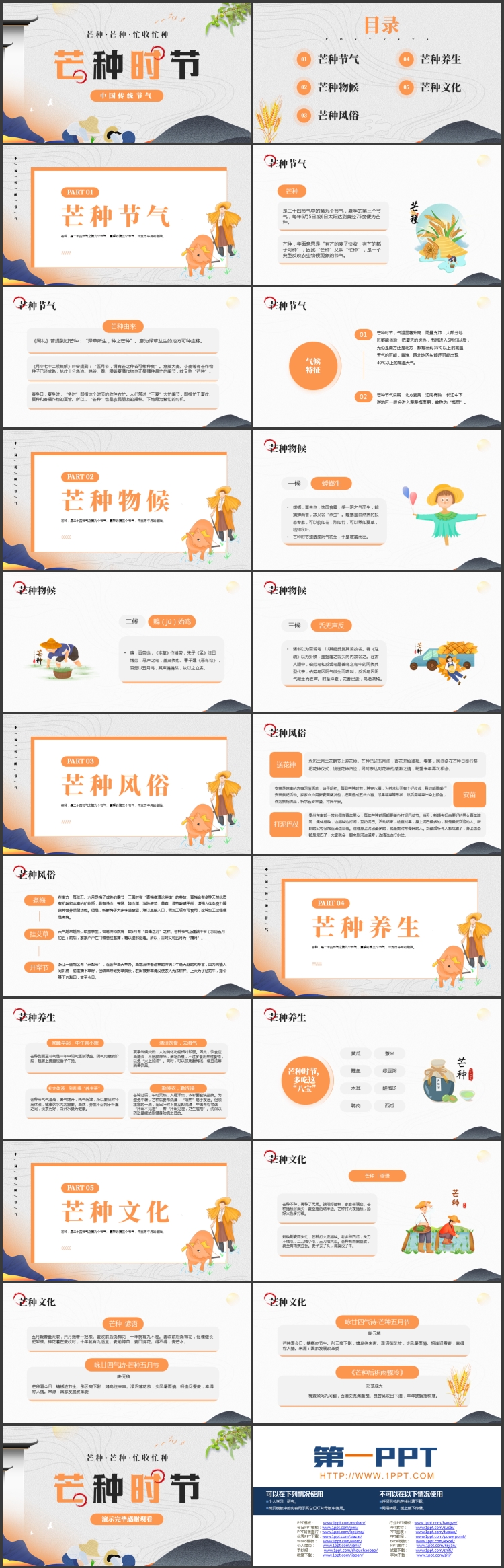中国传统节气之芒种时节节气介绍PPT模板