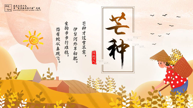 卡通女孩背景的芒种传统节气介绍PPT模板