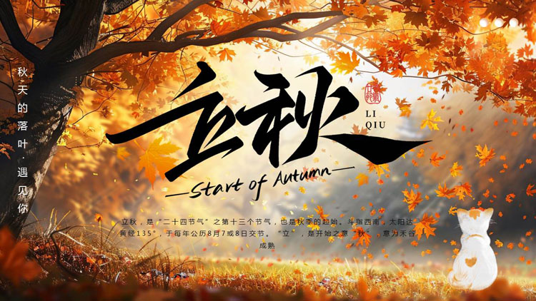 精美枫叶小猫背景的立秋节气介绍PPT模板