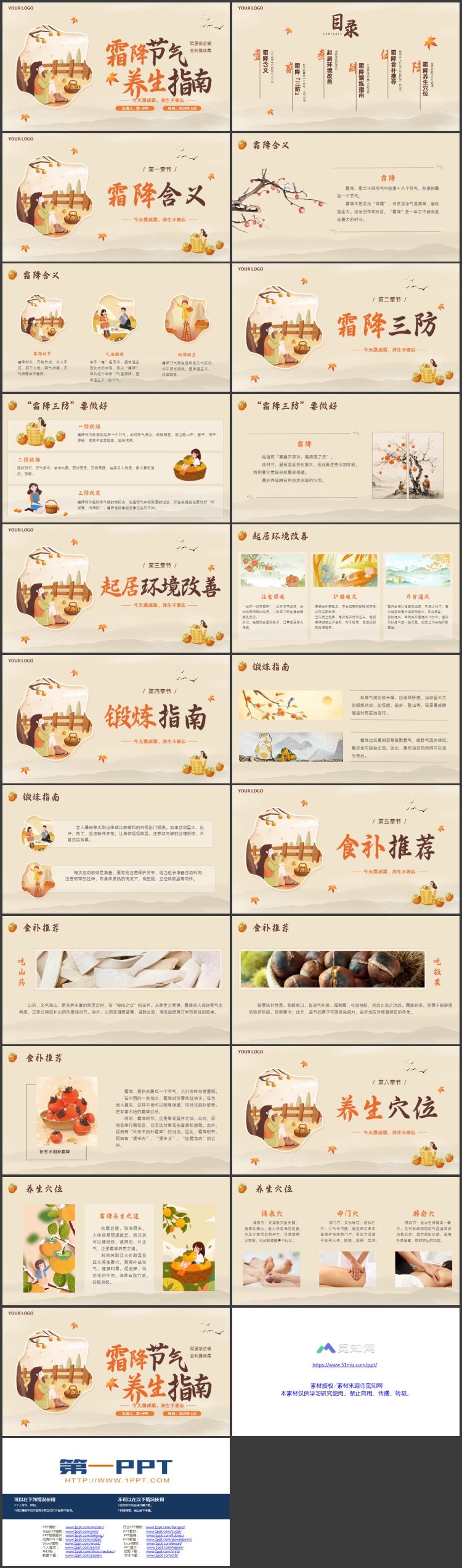 精美插画风霜降节气养生指南PPT模板