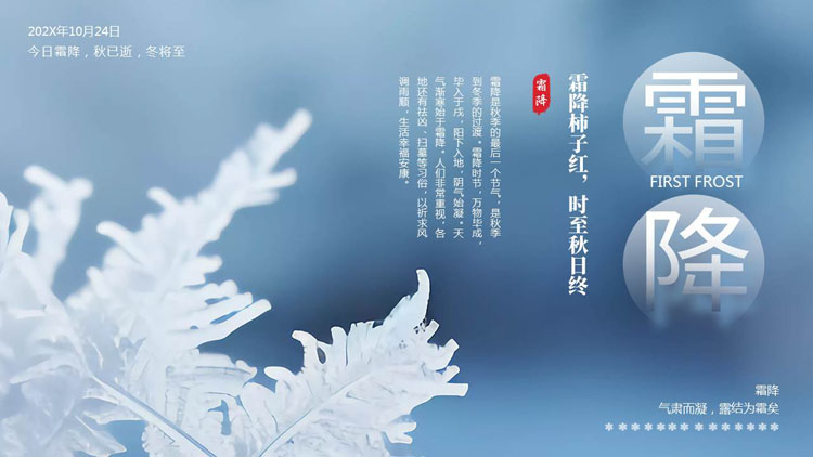 蓝色挂霜的树枝背景的霜降节气介绍PPT模板