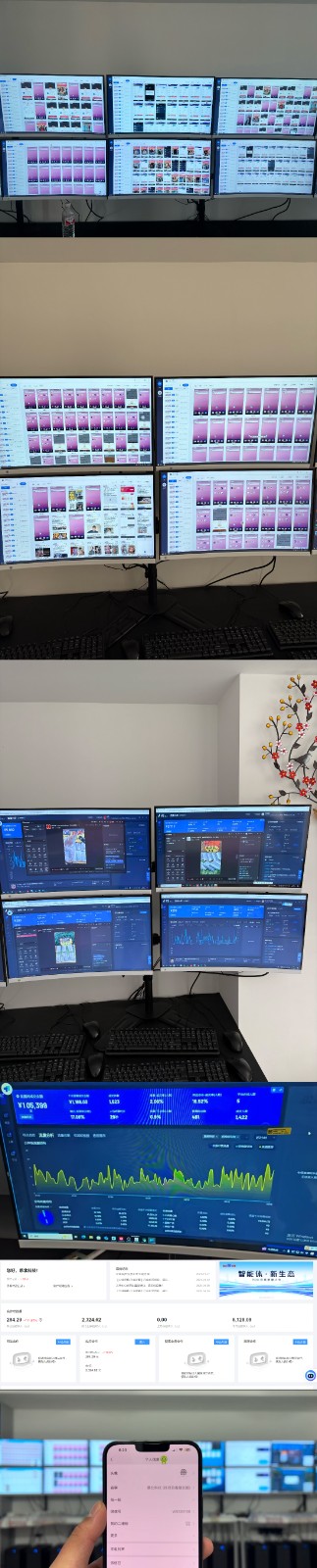 图片[2]-实操项目合集 挂机类型 直播类型 轻资产创业类型 课程分享各项目介绍和原理-优优云网创